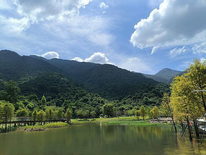 韩发现写有龙王瓷器：古代艺术的瑰宝与历史探秘